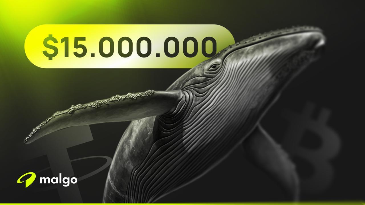 Dormant Bitcoin Whale Executes 15 Million Dollar Swap on Malgo.Finance